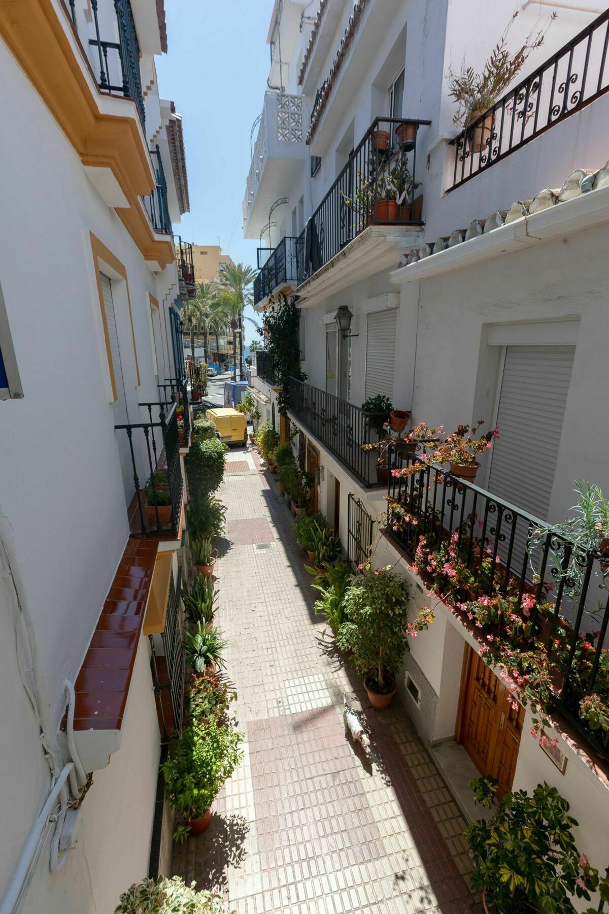 Hostal La Pilarica Marbella Exterior foto