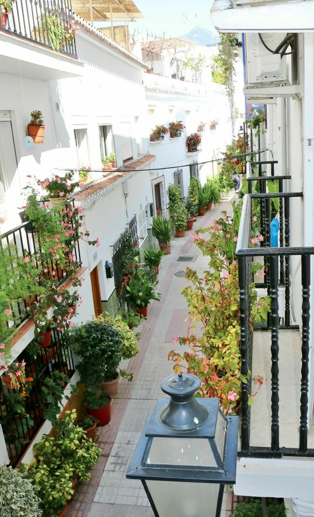 Hostal La Pilarica Marbella Exterior foto